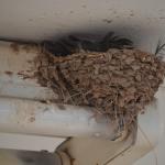 OTRA2014CN_0070 (August 24, 2014)